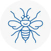 Tadworth Hornet Nest Removals